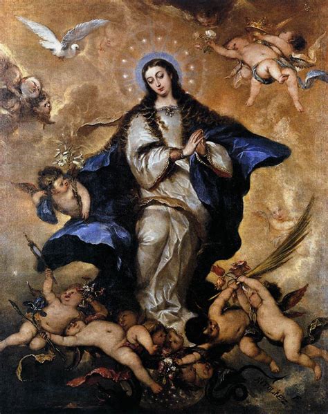 rediscovering  journey immaculate conception