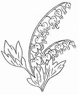 Bleeding Heart Coloring Hearts Designlooter Plant Looks sketch template