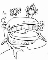 Nemo Coloring Finding Pages Whale Crush Book sketch template