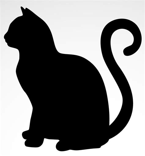 black cat silhouetted   white background