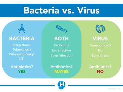 antibiotic   difference  viral