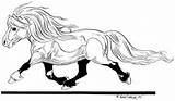 Shetland Furberg Shettis Pony Tegninger Hopper Hestetegninger Piczo sketch template