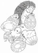 Hedgehog Igel Egel Kleurplaten Colorat Animali Dieren Animale Egels Arici Bosco P18 Erizos Ricci Boucle Planse Herisson Riccio Bewegende Animierte sketch template