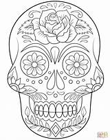 Sugar Coloring Skull Simple Pages Seleccionar Tablero Calaveras Para Colorear sketch template