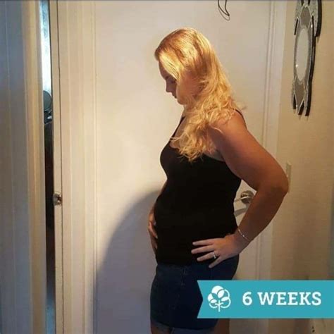 pregnant with twins belly at 6 weeks pregnantbelly