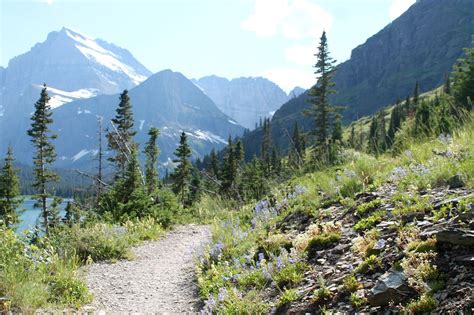 top  hiking trails  montana