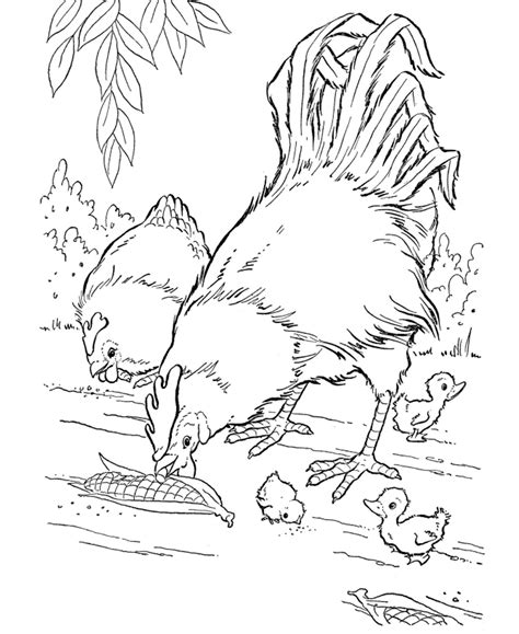 printable farm animal coloring pages  kids