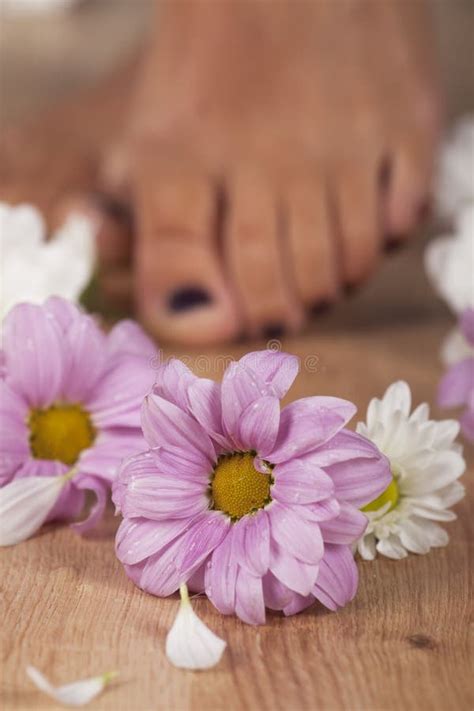 foot spa stock photo image  pedicure exfoliate brown