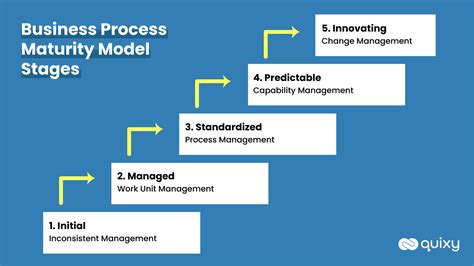 ultimate guide  business process maturity model