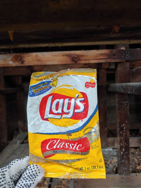 bag  lays chips      cleaning    shed pics