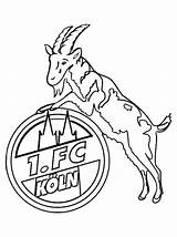 Ausmalbilder Wappen Ausmalbild Bundesliga Koln Fußball Malvorlagan Meist Gedownloadete sketch template