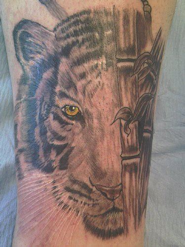 Tiger In Bamboo Forest Tattoo Tattooimages Biz