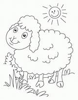 Coloring Sheep Baa Pages Popular sketch template