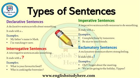 types  sentences  english english study