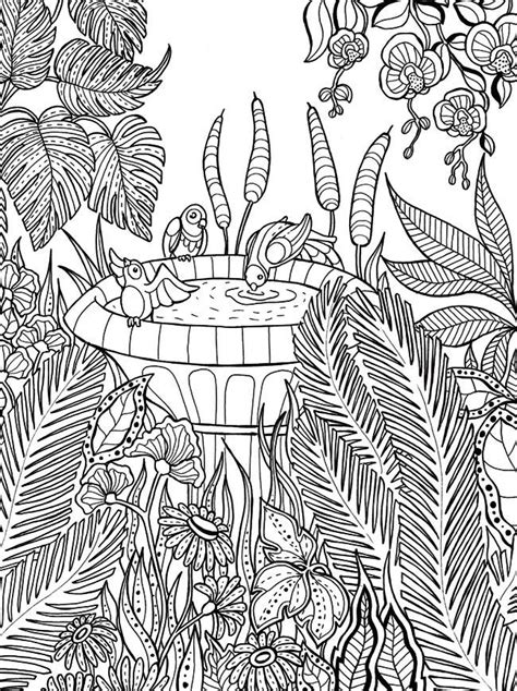 bird bath coloring books coloring pages  coloring pages