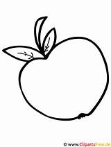 Apfel Malvorlagen Obst Ausdrucken Vorlage Schablonen Vorlagen Ausschneiden Malvorlage Herbst Malvorlagenkostenlos Frucht Fruits Vordruck Zugriffe Besuchen Titel Ninjago sketch template