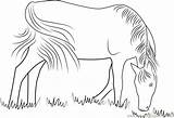 Pferd Weide Tiere Feeding Pferde Hund Malvorlagen Coloringpages101 Vorschule Hunde Kostenlosen sketch template