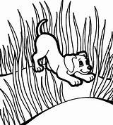 Grass Coloring Pages Puppies Between Play Grow Well So sketch template