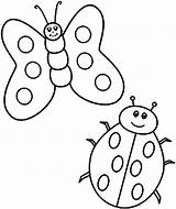 Bug Butterfly Bugs sketch template