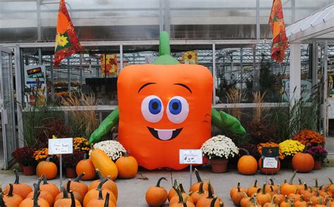 spookley  square pumpkin   stop bullying  save agritourism