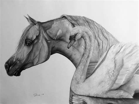 arabian horse drawing rysunek pencil drawing horse horses