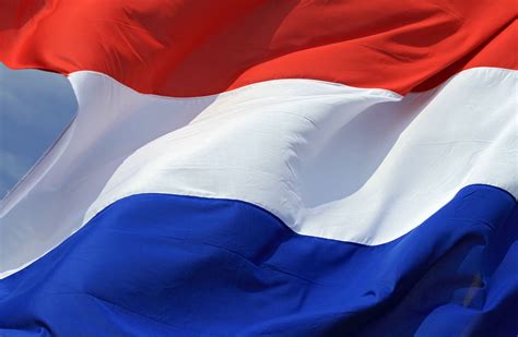nederlandse vlag google search koningsdag bergen op zoom pinterest searching