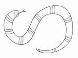Snake Schlange Gopher sketch template
