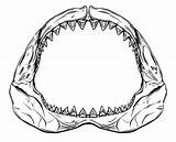 Shark Jaws Jaw Bite Clipartmag Table6 Chibi Clipground Getdrawings Pluspng Pinclipart sketch template