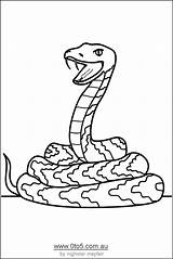 Snake Coloring Pages Printable Kids Colour Snakes Animal Cartoon Animals Print Step Coloringhome Library Clipart sketch template