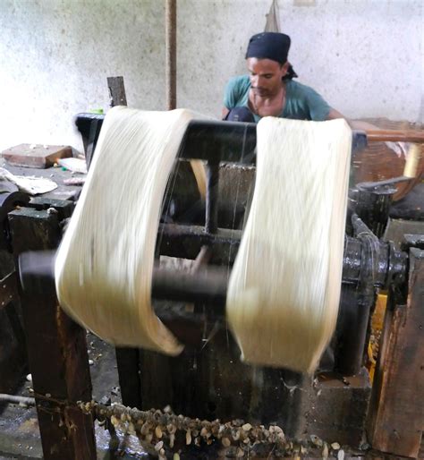 ramnagar karnataka mulberry silk production blog bandhej