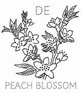 Peach Blossom Drawing Getdrawings Embroidery sketch template