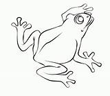 Frog Coloring Drawing Pages Drawings Life Cycle Outline Color Cliparts Frogs Line Print Animal Draw Toad Clipart Sketch Sketches Cattail sketch template