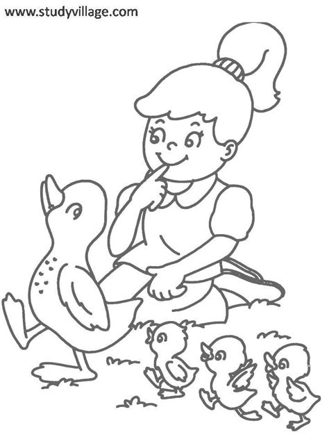 cute pets coloring page  kids
