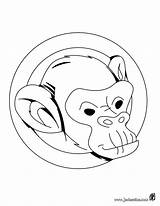 Mono Dibujos Chimpance Chango Ausmalen Affenkopf Hellokids Changos Facil Singe Monkey Boxeur Macaco Jungla Yodibujo Mignon Kangourou Joli Titi Mascaras sketch template