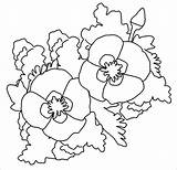Poppy Coloring Pages Drawing Outline Template Getdrawings Getcolorings Printable Print sketch template