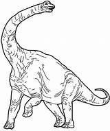 Diplodocus Brachiosaurus Netart Jurassic Moose Luna sketch template