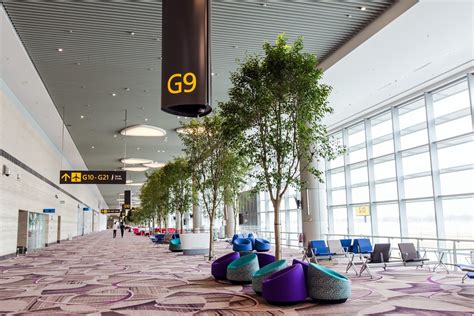 changi airport terminal  singapores newest airport terminal