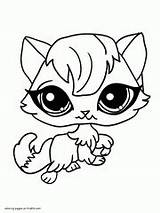 Pet Coloring Littlest Shop Pages Printable Cartoon Lps Ads Google Character sketch template