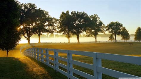 Morning At A Ranch Ultra Hd Desktop Background Wallpaper