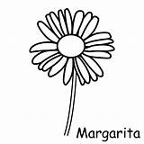 Margaritas Margarita Margarida Saisons Meteo Technologie Bricolage Pictogrammes sketch template