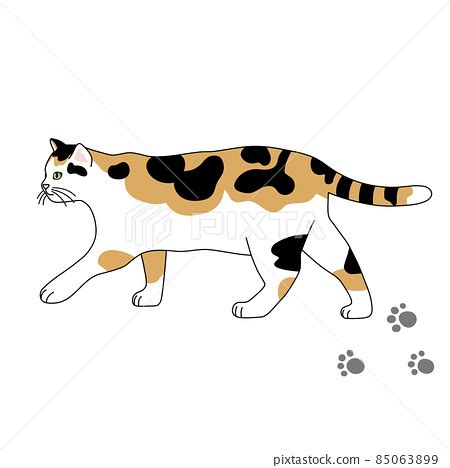 realistic illustration   walking calico cat stock illustration