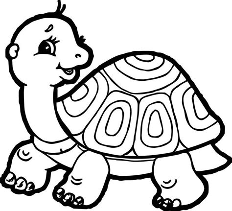 tortoise turtle side coloring page  images turtle coloring