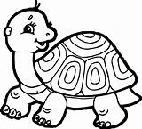 Tortoise Coloring Turtle Side Pages sketch template