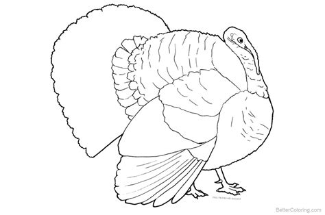 turkey coloring pages  printable coloring pages