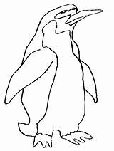 Coloring Penguin Pages Penguins Animals Cartoon Clipart Kids Library Cliparts Color Printable Clip Para Colorear Galapagos Pinguino Penguen Print Number sketch template