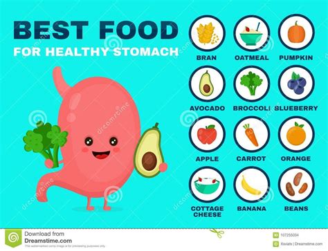the 19 best foods to improve digestion healthy stomach best foods