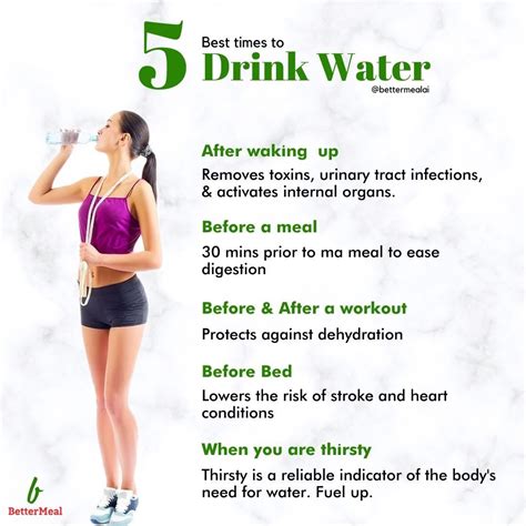 It’s Common Knowledge That Drinking Eight Glasses Of Water A Day Is