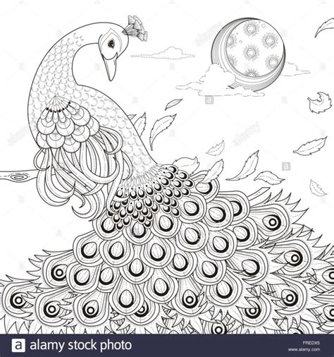 peacock coloring pages peacock drawing easy  beautiful hakume colors