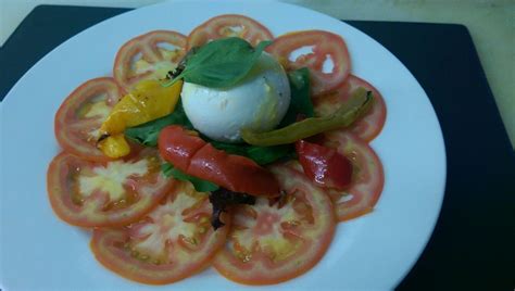 mozzarella di bufala cooking recipes cooking recipes