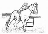 Horse Coloring Pages Jumping sketch template